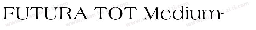 FUTURA TOT Medium字体转换